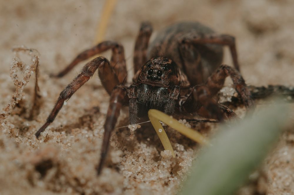 Photograph by Софья Лученкова