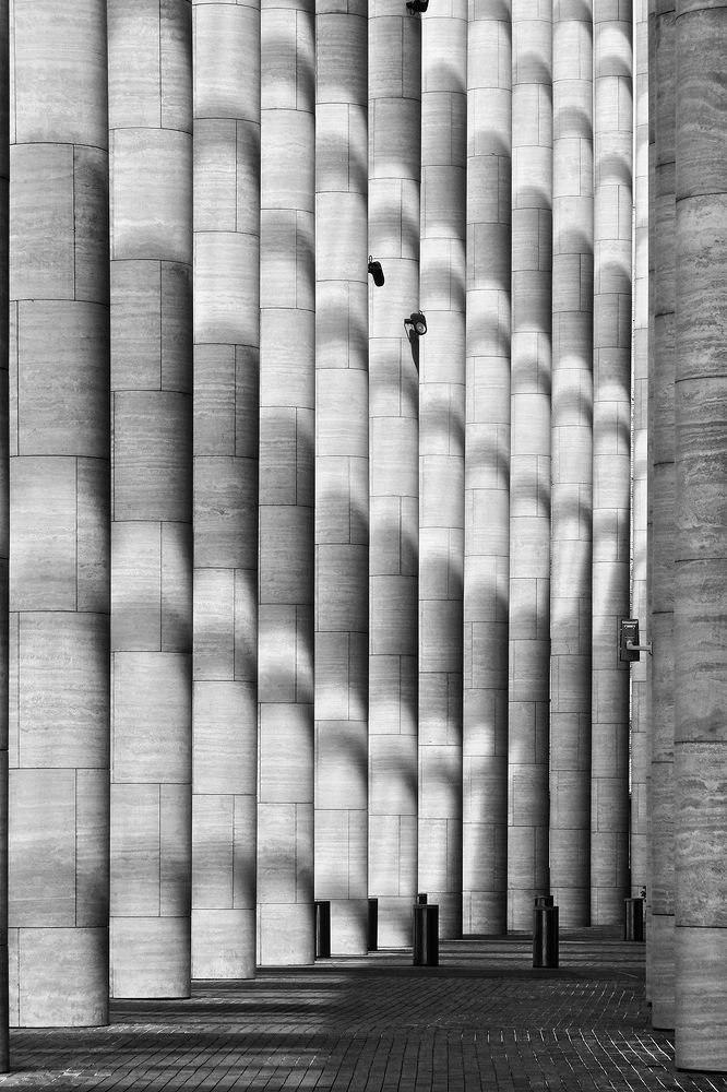 В ритме света