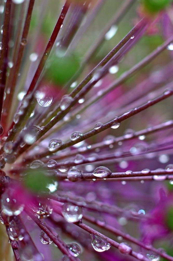 Photograph by Валерия Генрисова