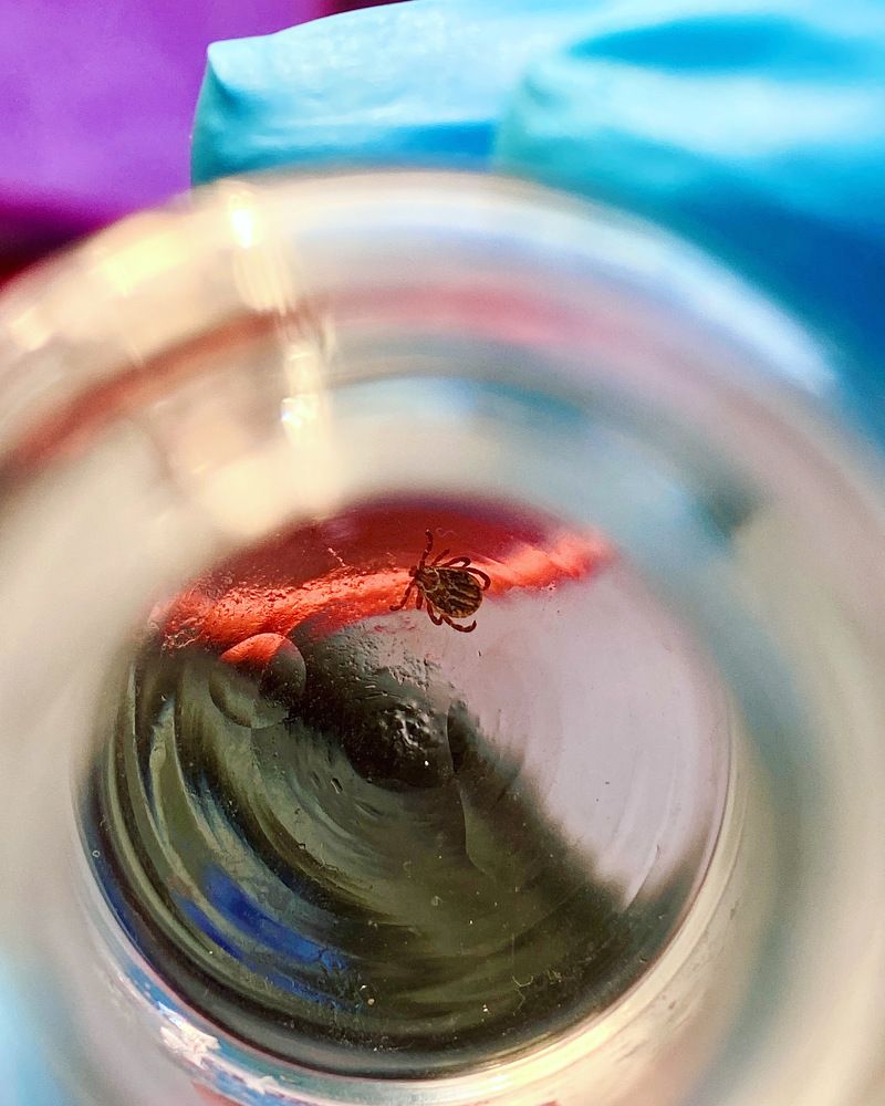 Photograph by Алина Скай