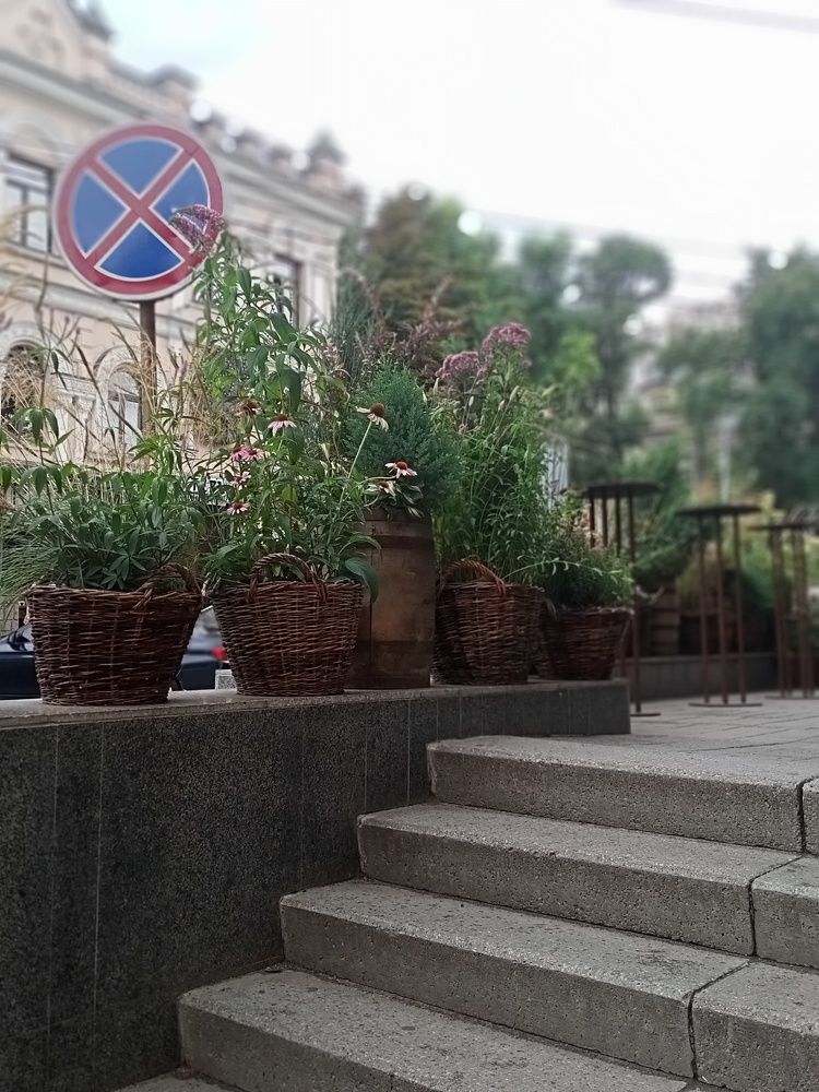 Photo #7872488