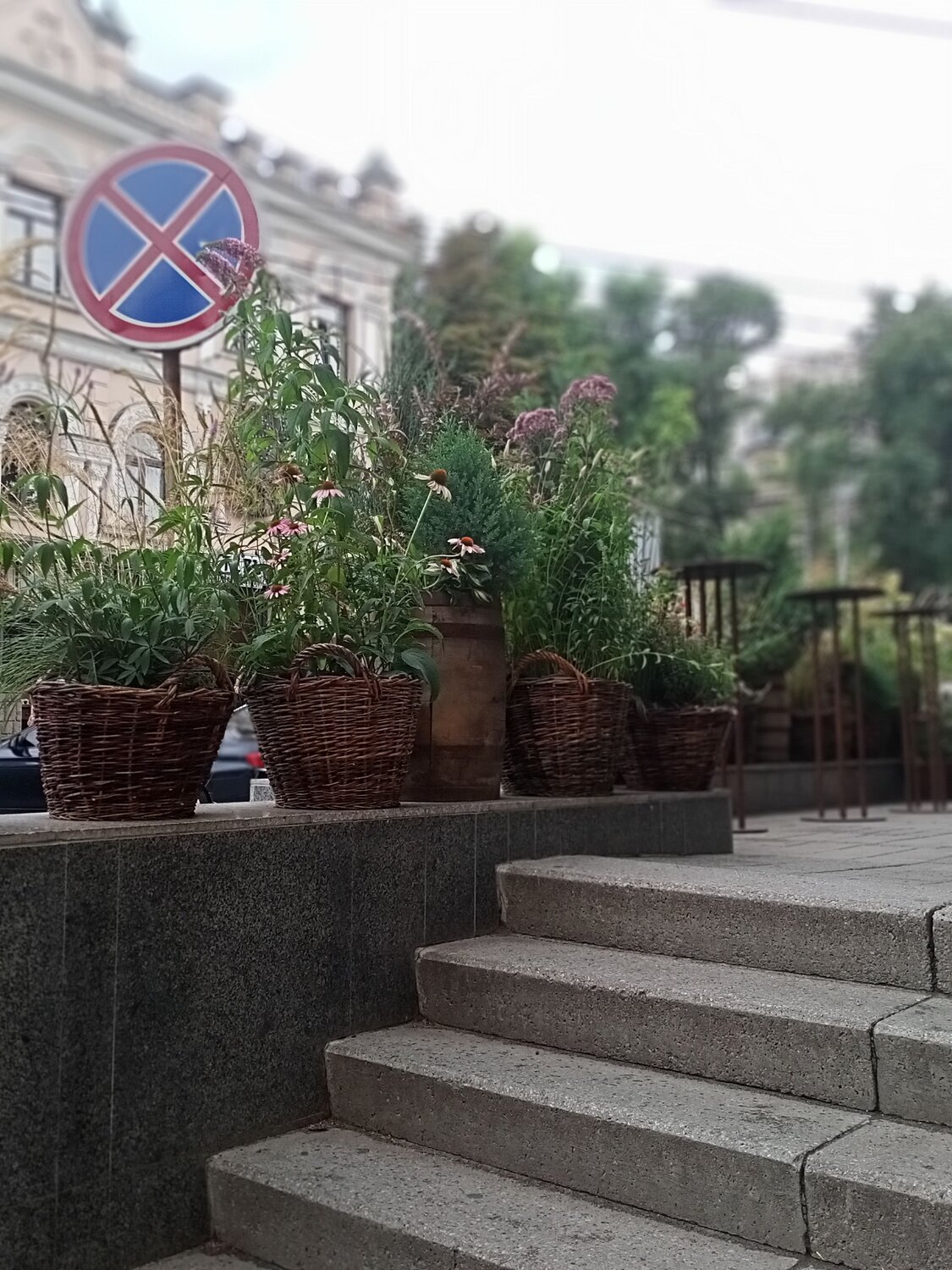 Photo #7872488