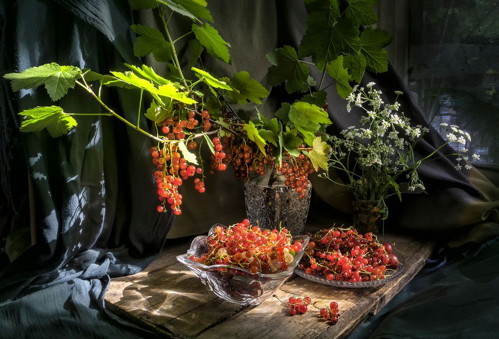 Фотография автора Milena Ivanova