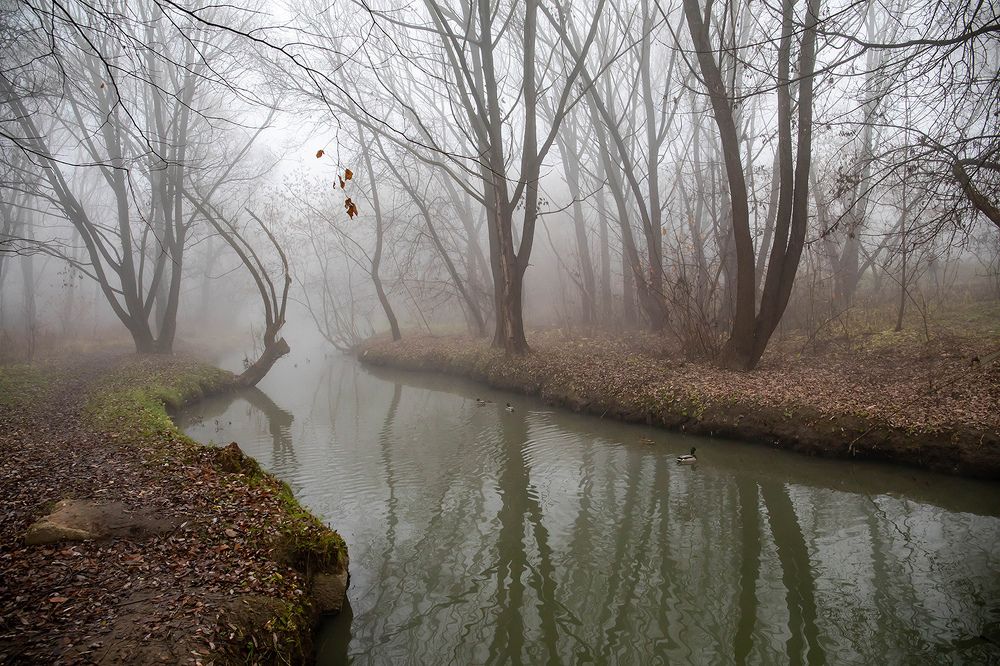 Photograph by Виктор