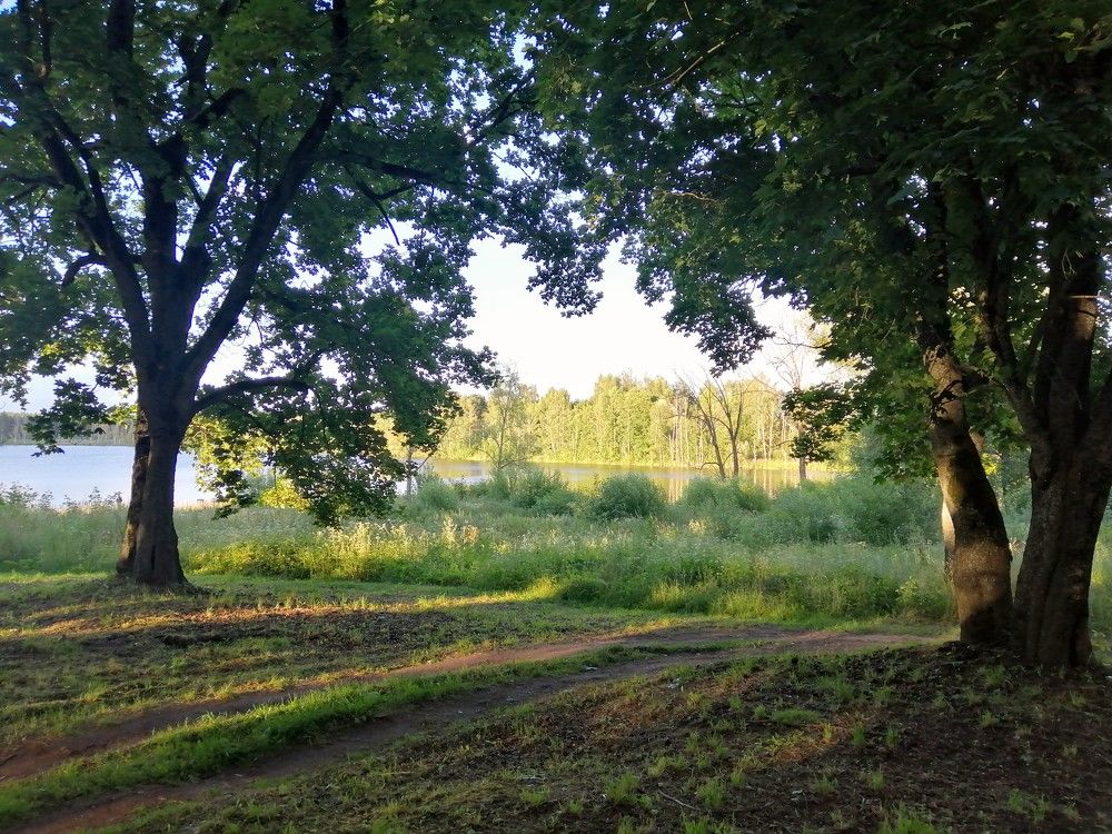 Photograph by Виталий Шумский