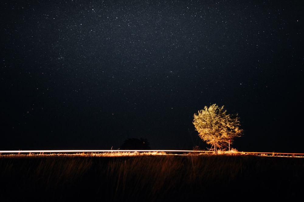 Photograph by Владимир Зайцев