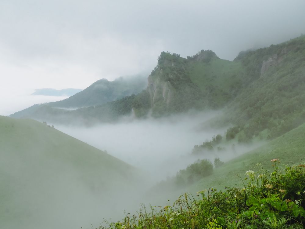 Photograph by Alexandra German