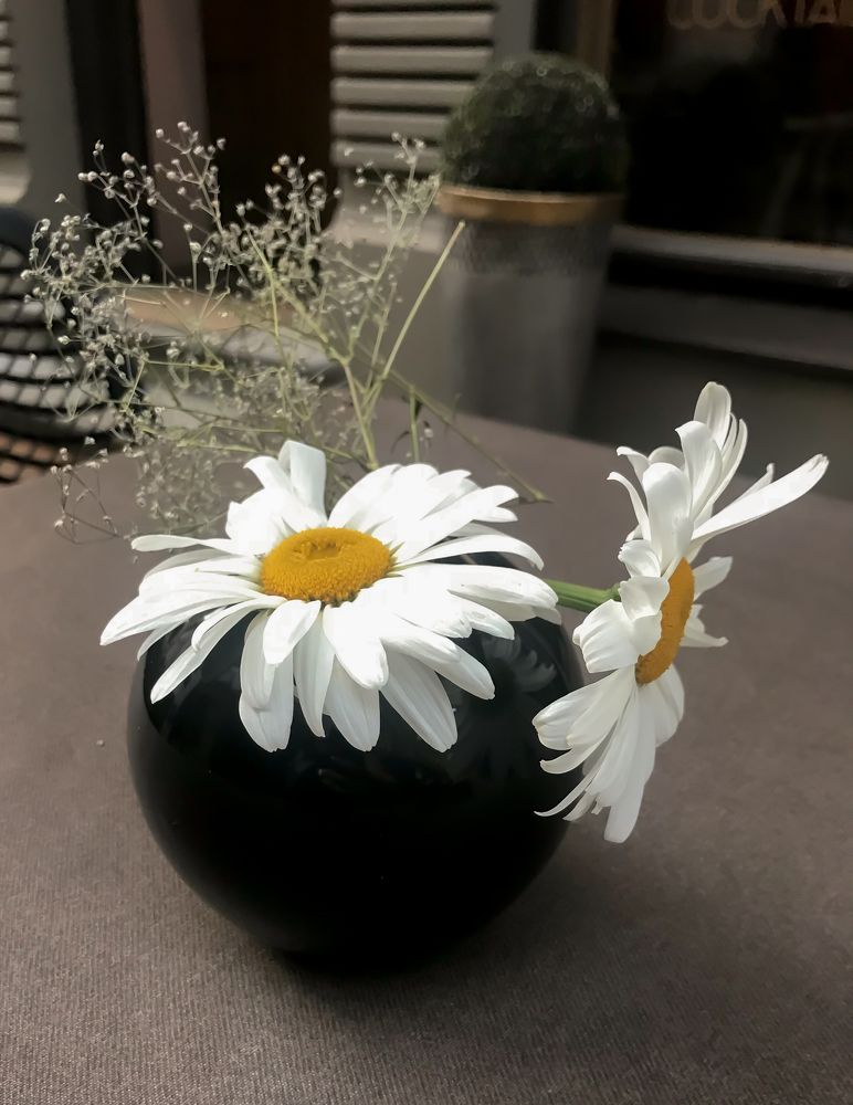 Photograph by Екатерина Меньшакова