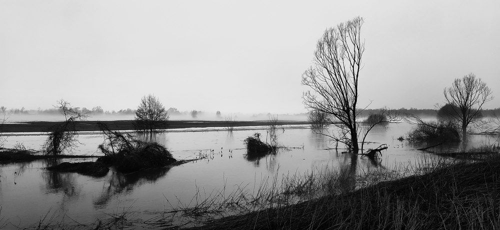 Photograph by Наталья Уканеева