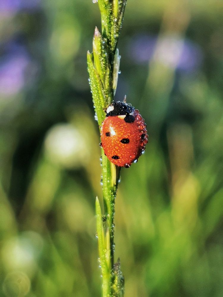 Photograph by Андрей Тур
