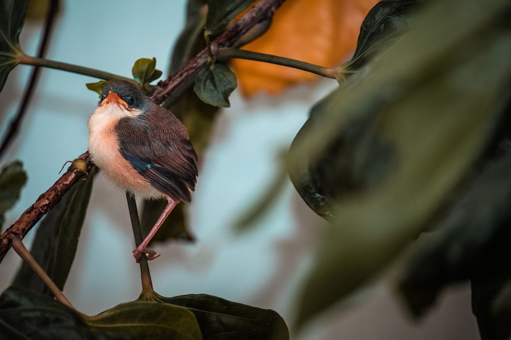 Photograph by Sardar Vaibhavraj Ramkar