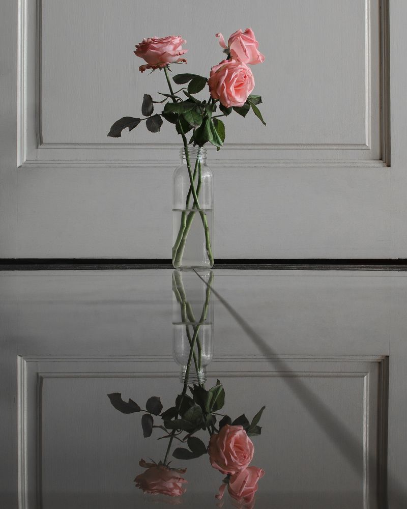 Photograph by Thirukumaran Murugaya