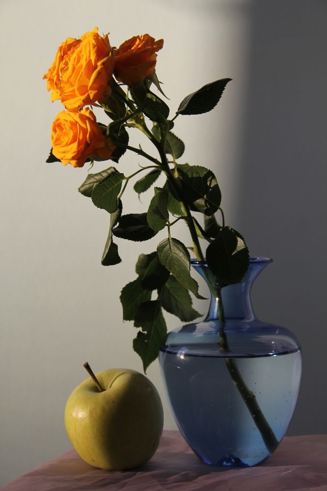 Photograph by Владислав Шаповалов