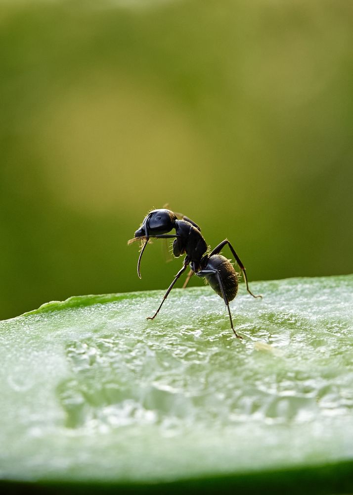 Photograph by Алина Скай