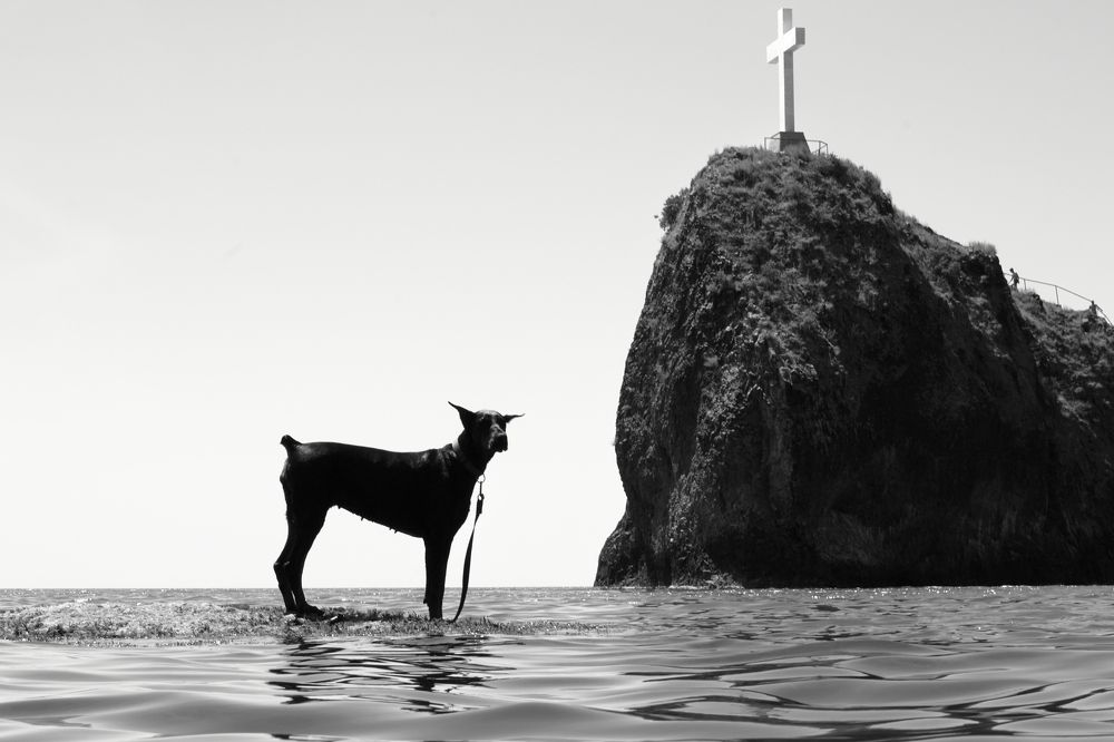Photograph by владимир нестеров