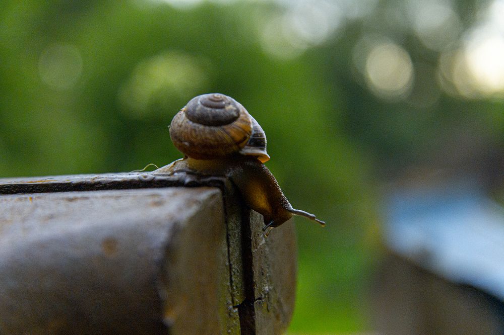 Photograph by Алексей