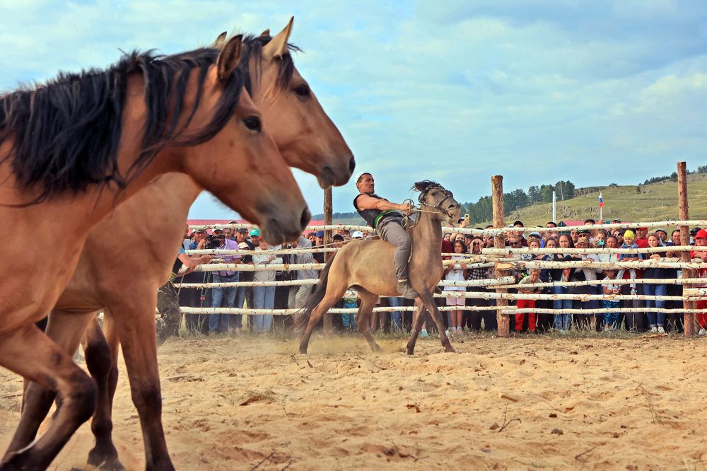 Укрощение коня ( серия)