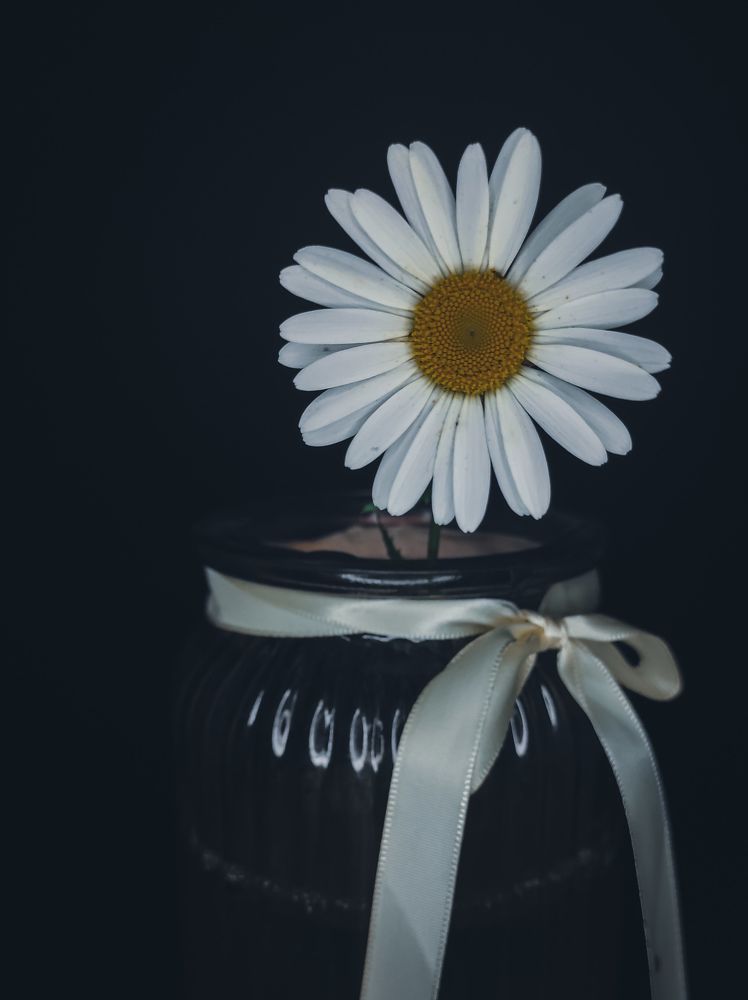 Photograph by Иван Коваленко