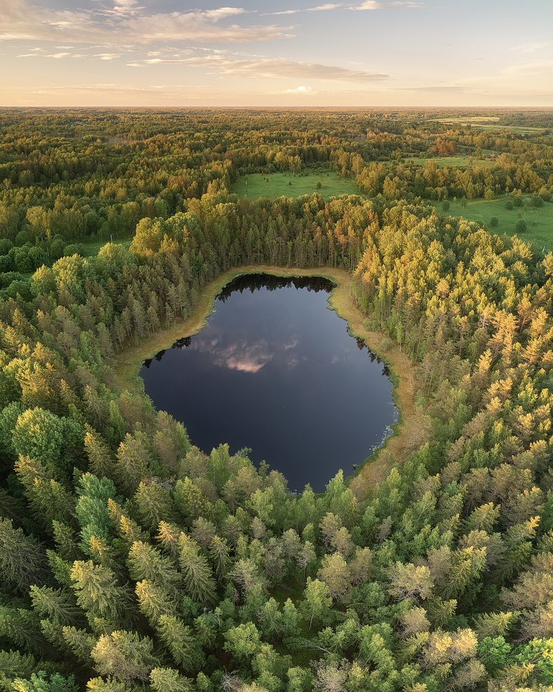 Photograph by Чехонин Александр