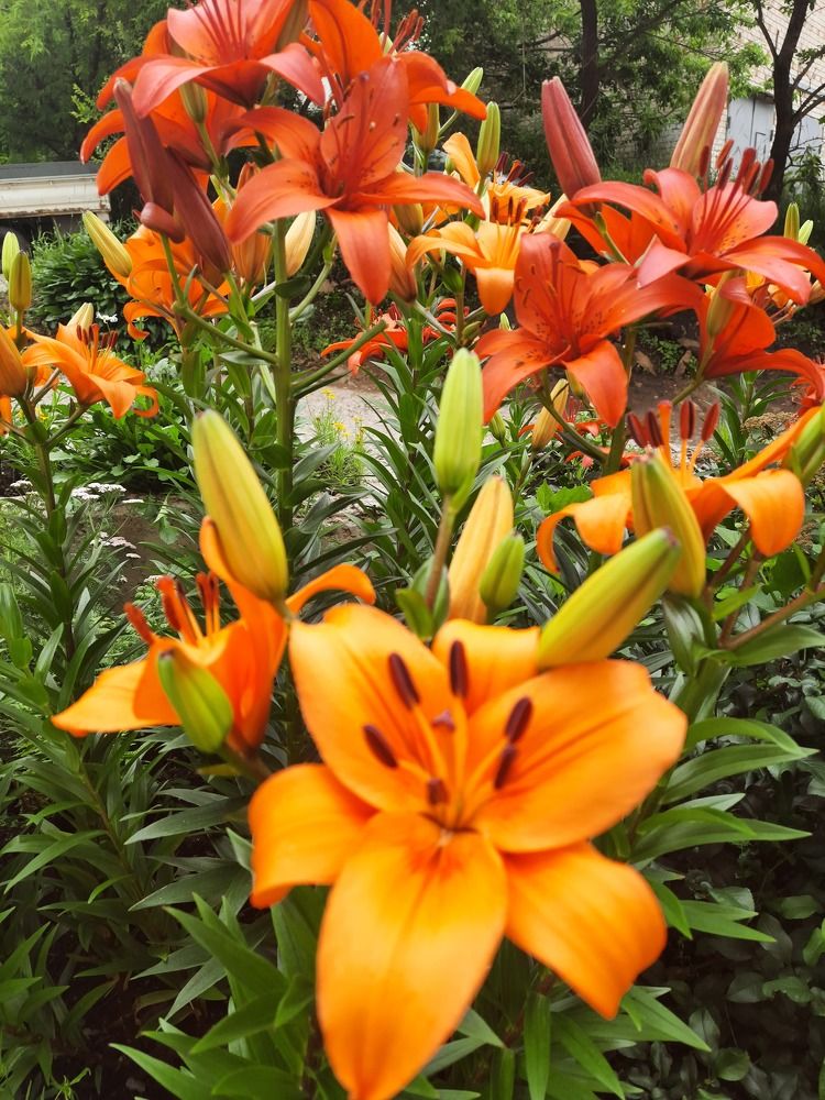 Photograph by Сергей Выржиковский