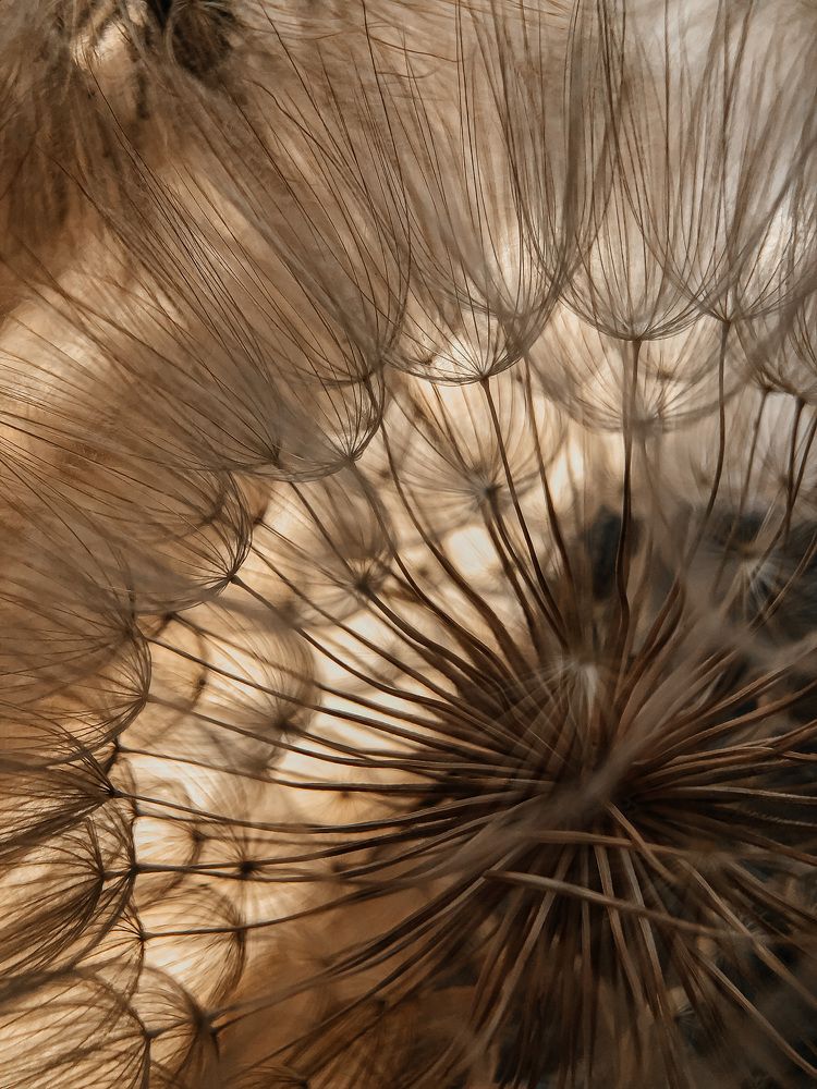 Photograph by Кристина Луканова