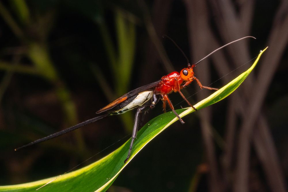 Photograph by Nicholas Ng