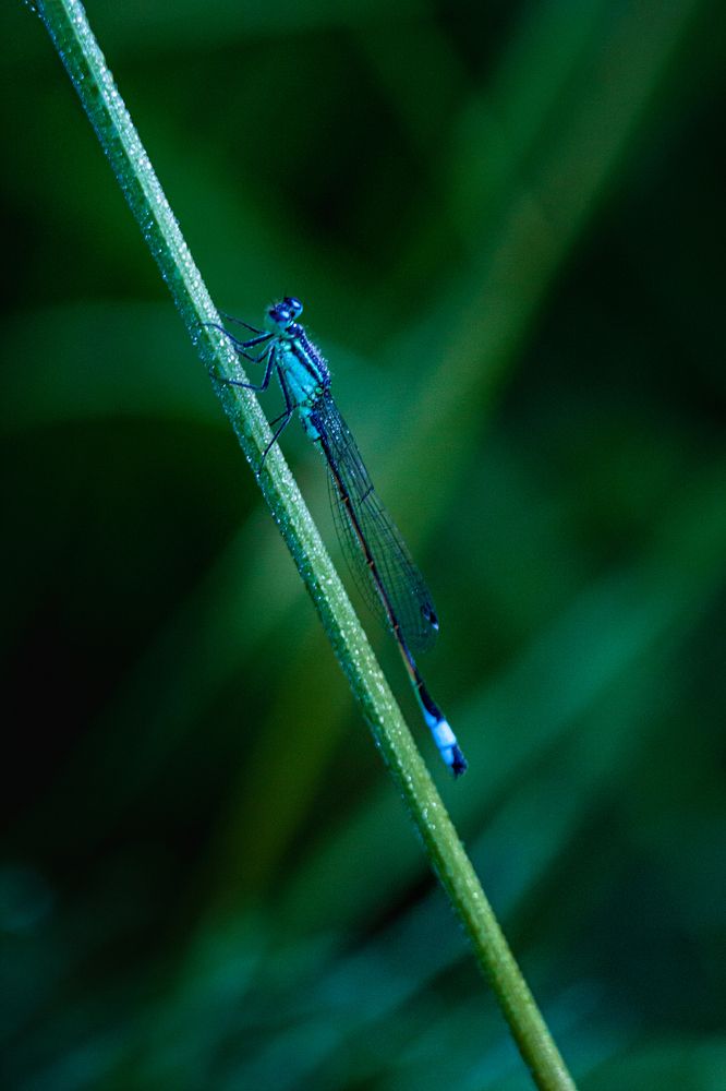 Photograph by Надежда