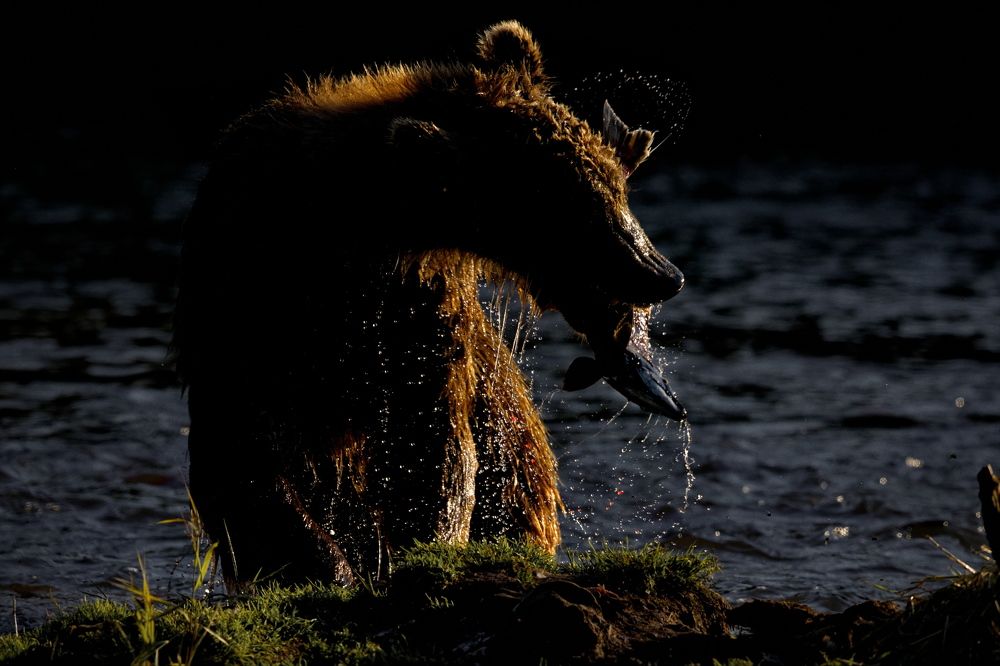 Наконец-то с икоркой...