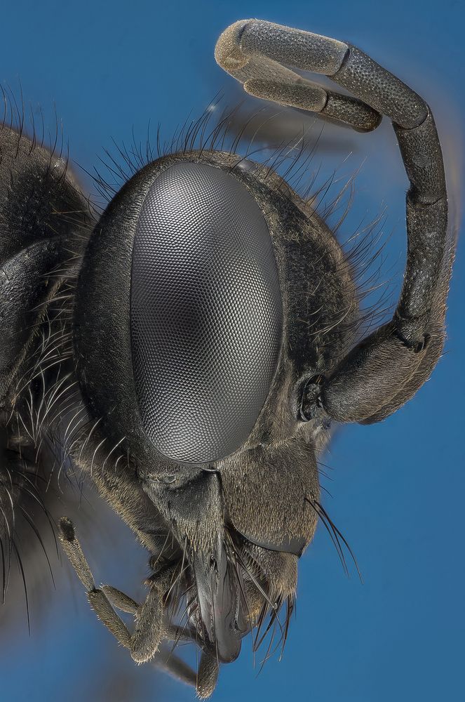 Photograph by Dariusz