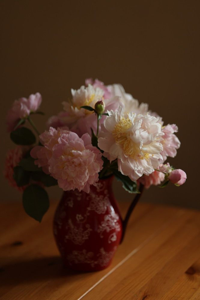 Photograph by Дарья Савиных