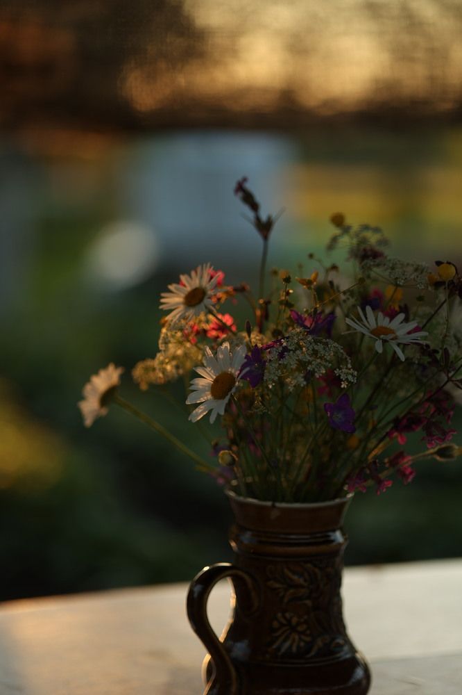 Photograph by Дарья Савиных