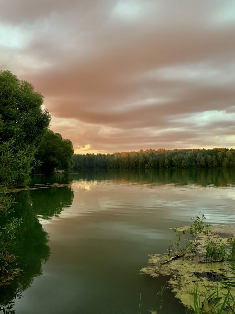 Photograph by Elena Lukashina