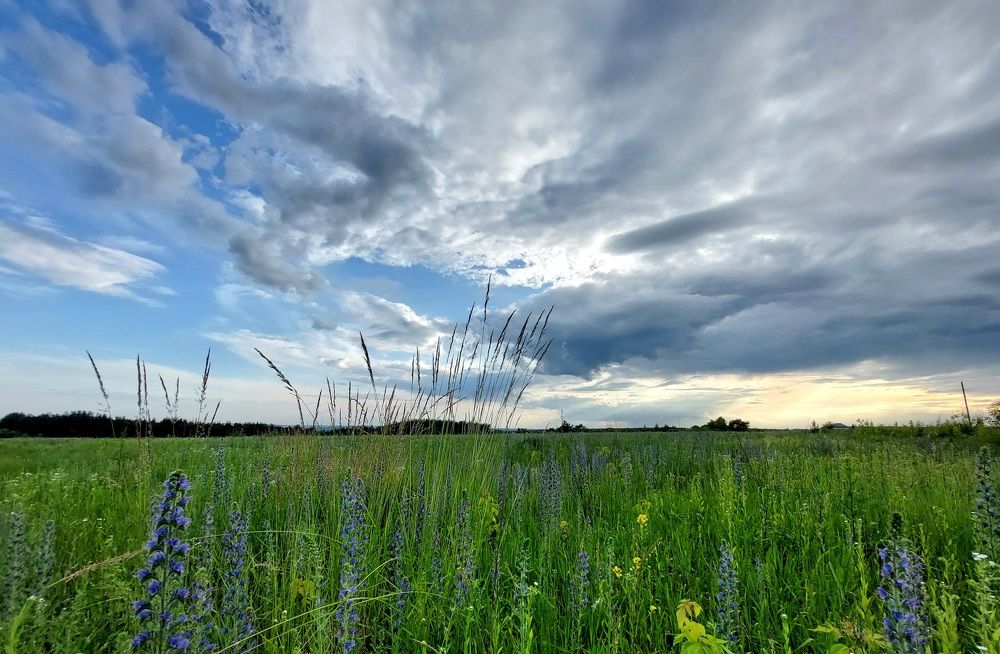 Photograph by Елена Владимировна Локтионова