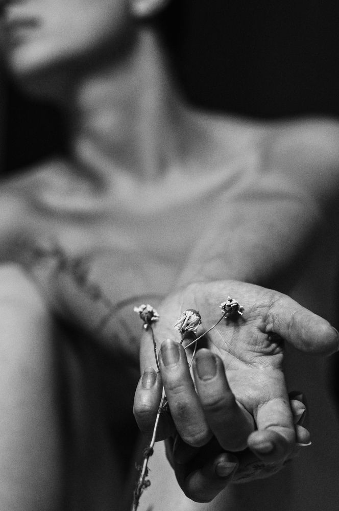 Photograph by Алексей Фаберже