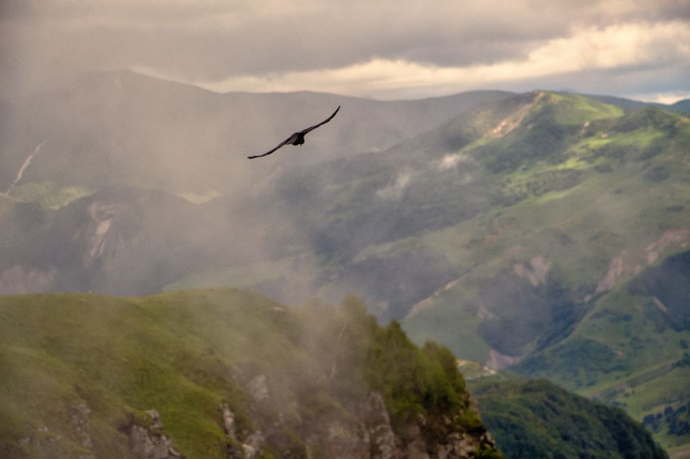 Photograph by Чунина Наталья