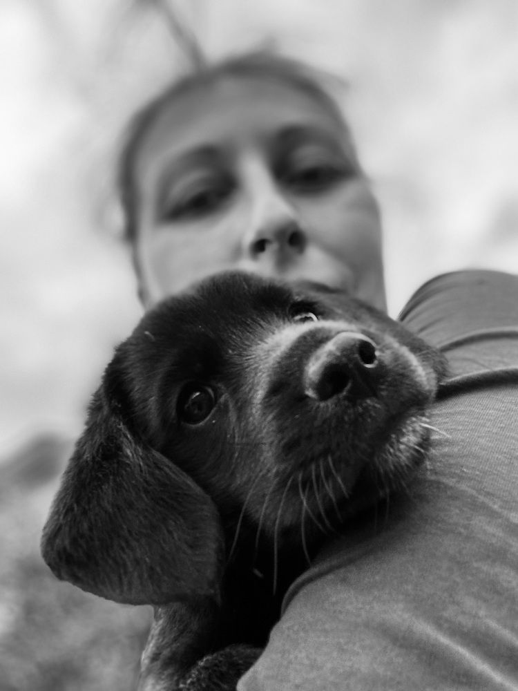 Photograph by Катерина