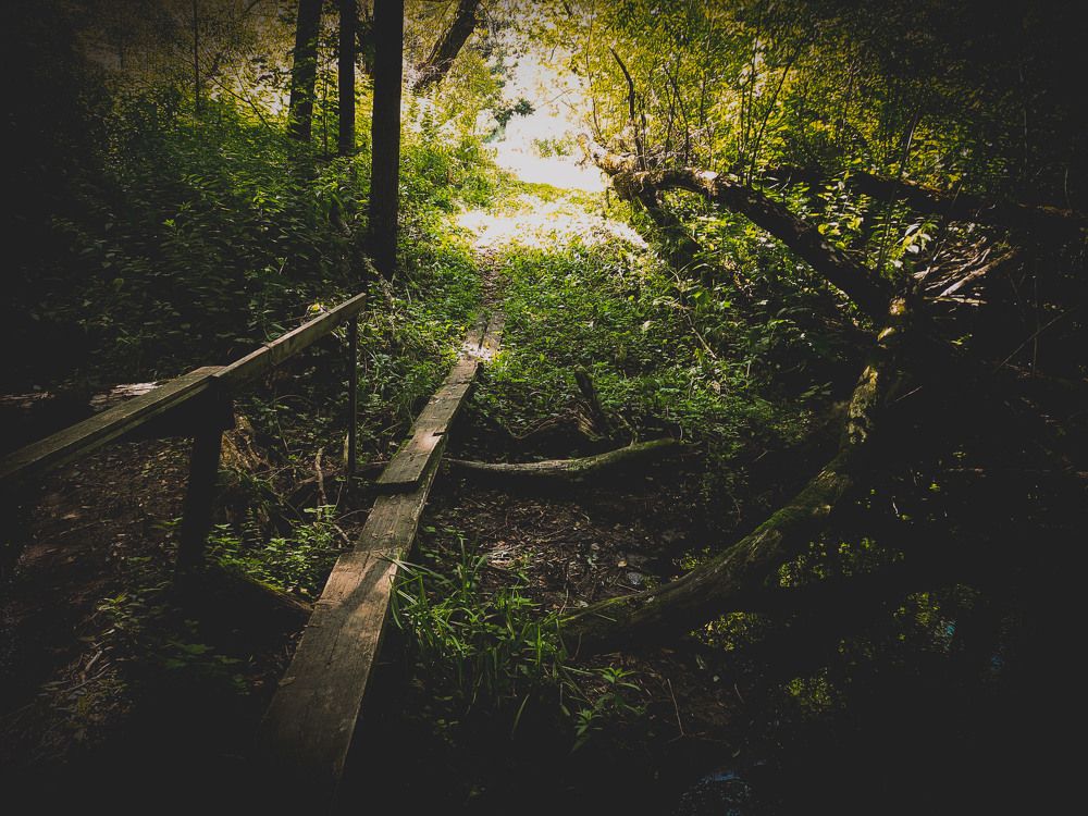 Photograph by Аля Кнастер