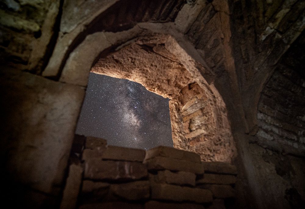 Photograph by Vida Honarvar