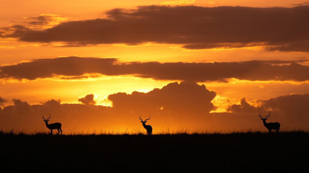 Photograph by Bevzenko Roman