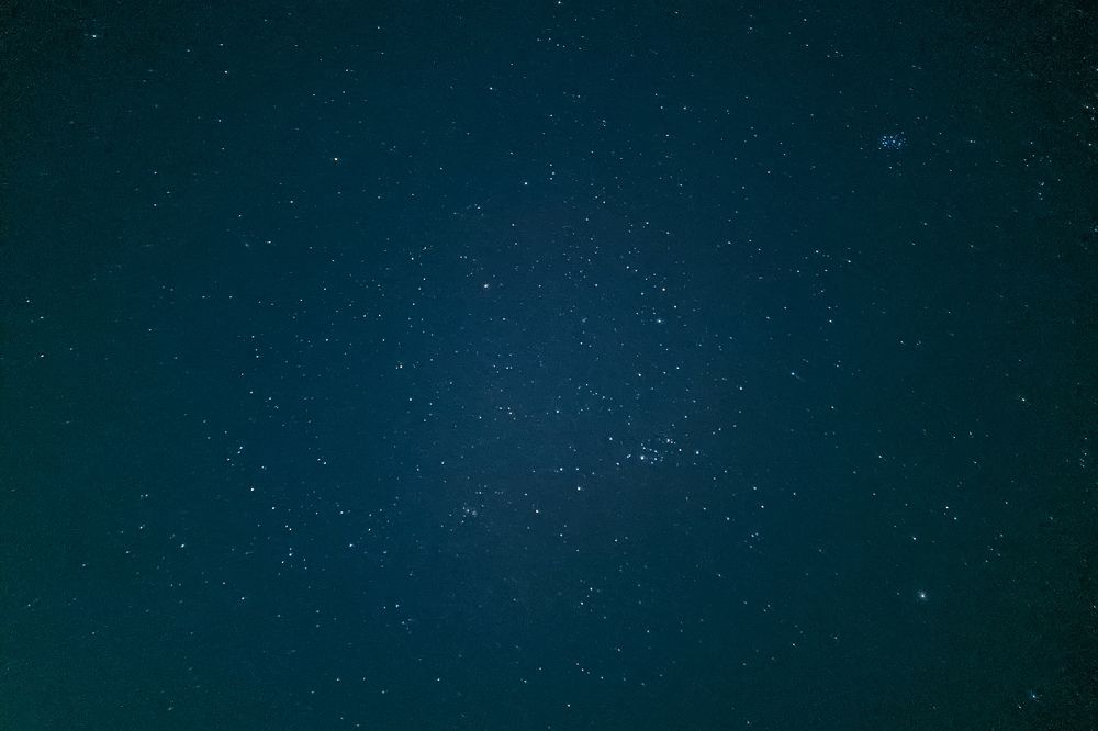 Photograph by Sam Johnraj