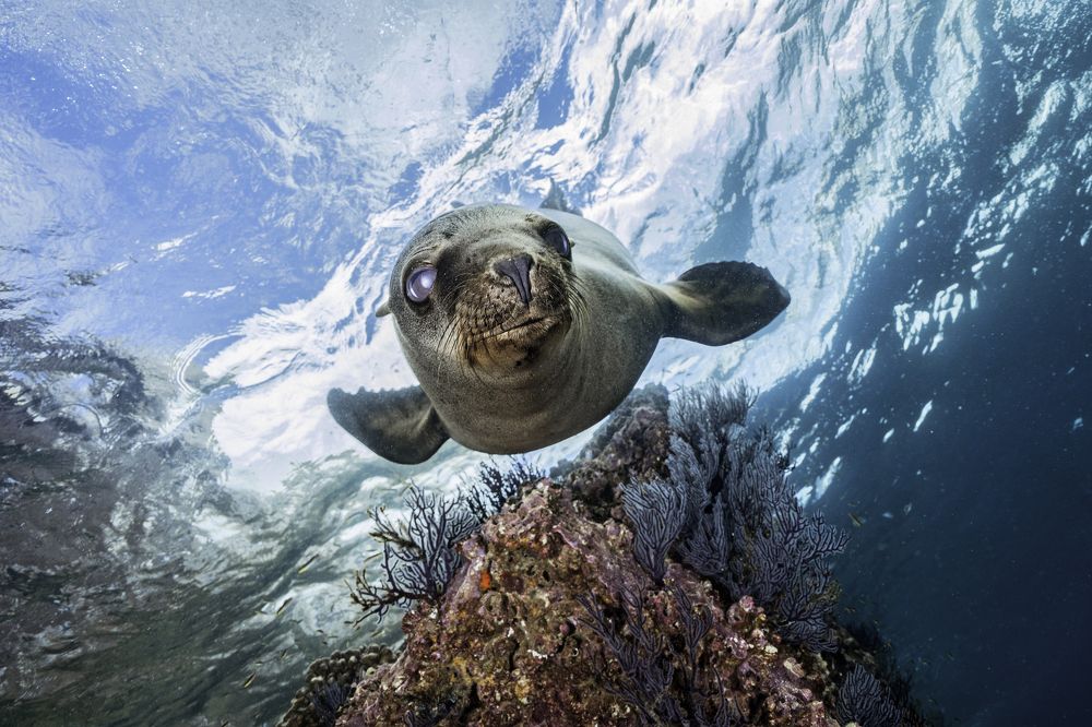 Photograph by Merche Llobera