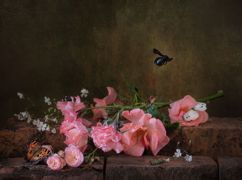 Веточка розы.