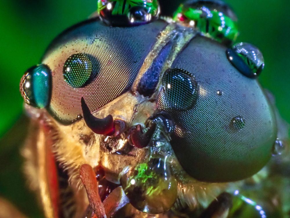 Photograph by Olga Link