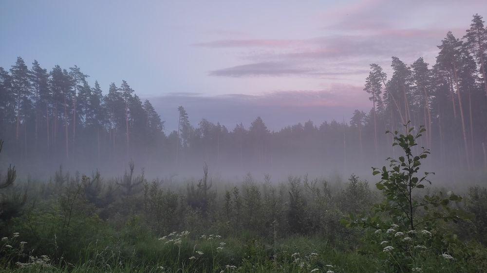 Photo #7874123