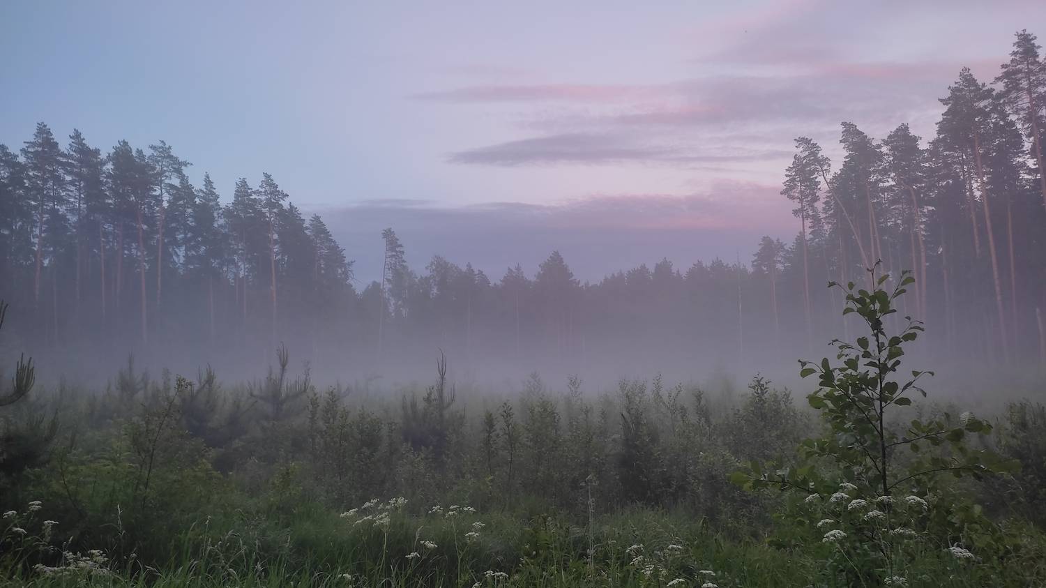 Photo #7874123