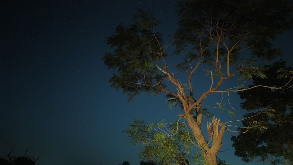 Photograph by Smruti Ranjan Das