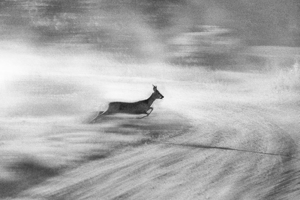 Photograph by Normunds Kaprano