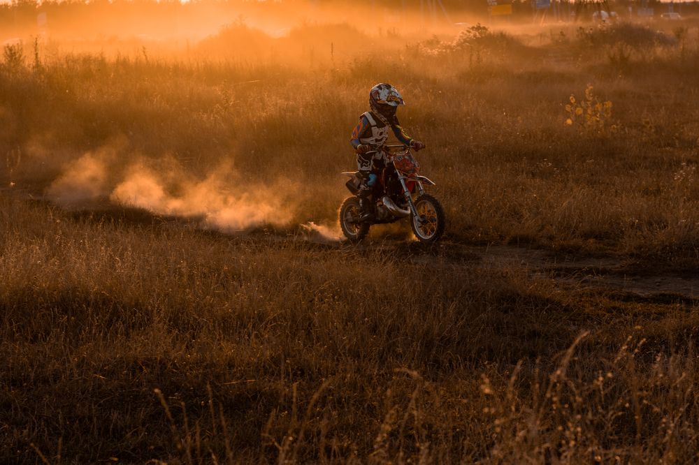 Photograph by Елена Плотникова