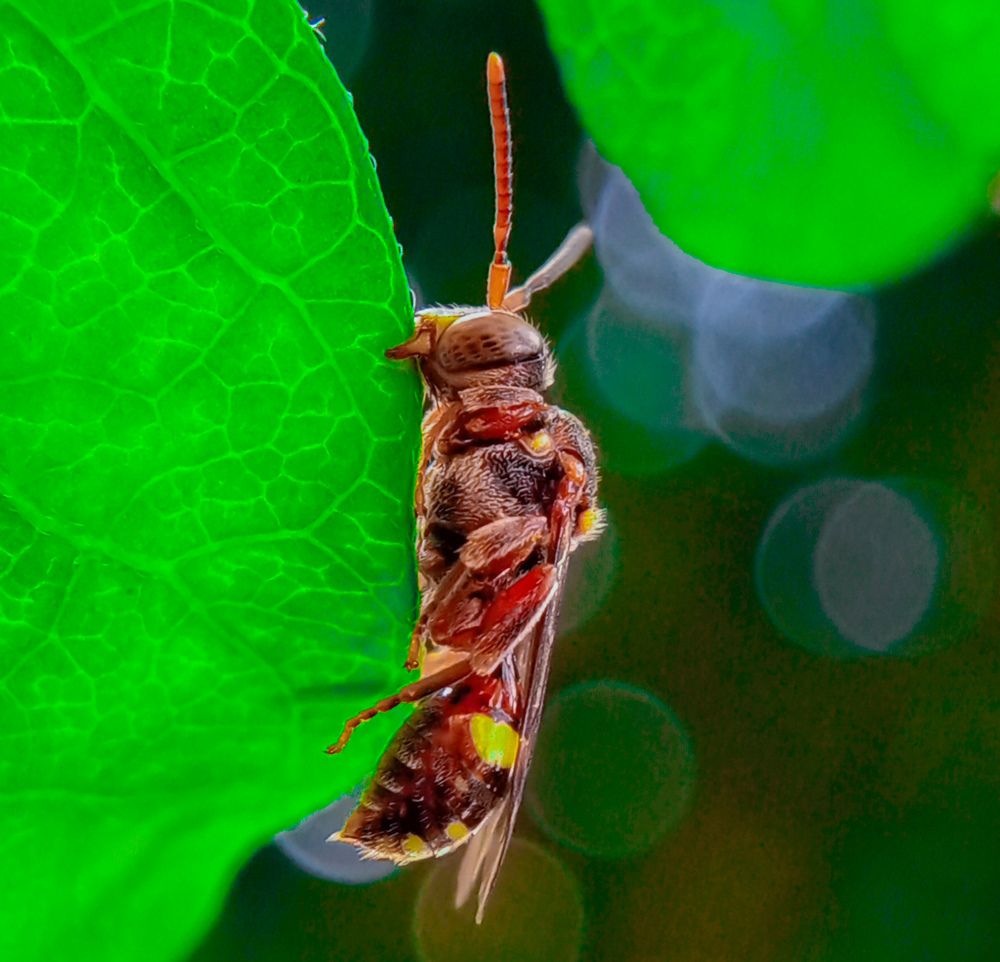 Photograph by Tuhin Samanta