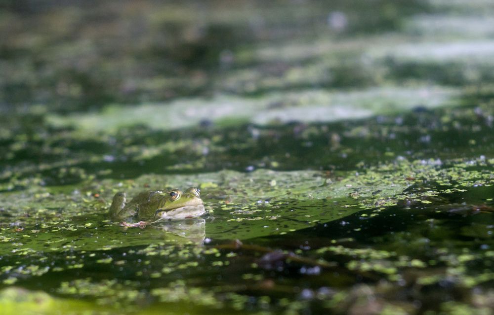 Photograph by Александр Белоус